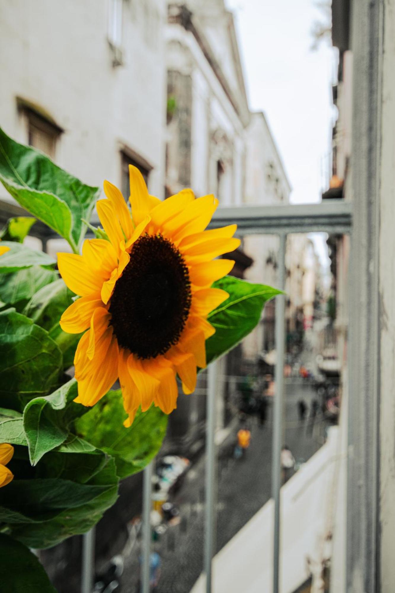 Maison d'hôtes Centro, Dm Naples