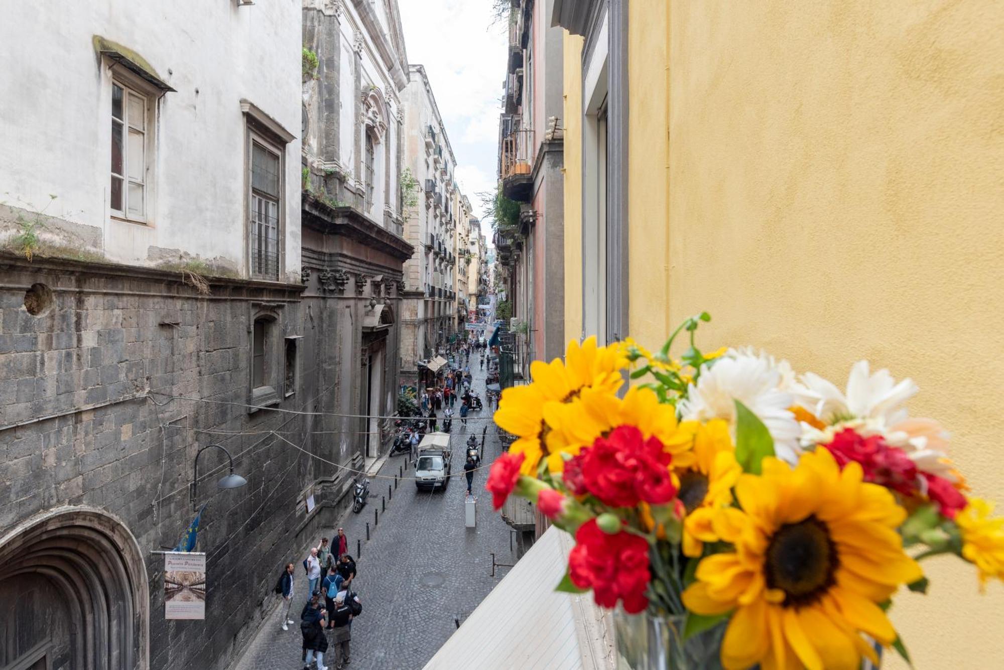 Centro, Dm Napels